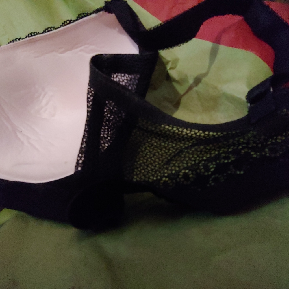 ❤Daisy Fuentes Lovely Floral Mesh Padded Bra NWOT - Picture 6 of 8